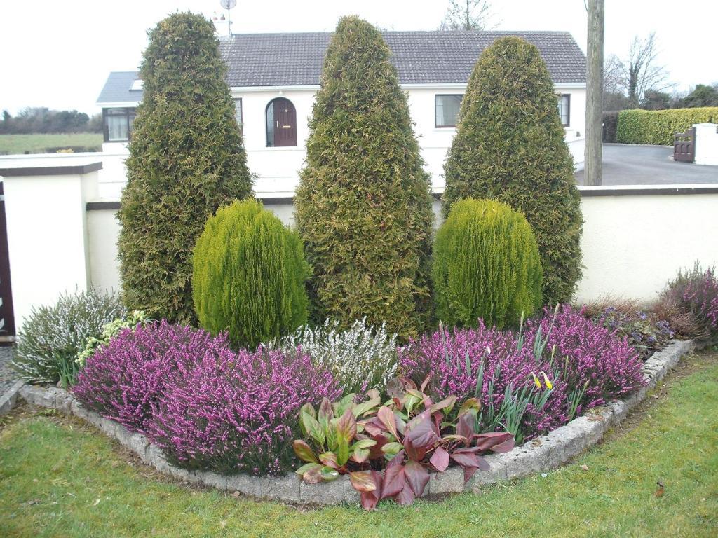Maryville Bed And Breakfast Nenagh Bagian luar foto